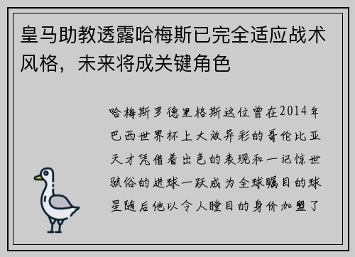 皇马助教透露哈梅斯已完全适应战术风格，未来将成关键角色