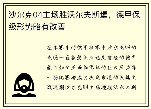 沙尔克04主场胜沃尔夫斯堡，德甲保级形势略有改善